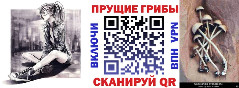 Галлюциногенные грибы Magic Shrooms  Купить где  Вольск 